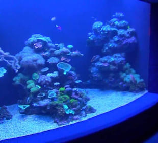 Palma Aquarium