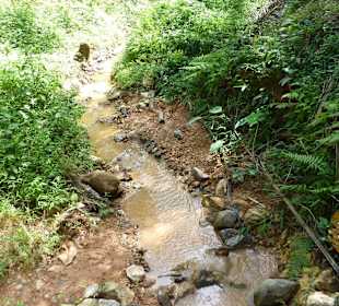 Elefantenreiten im Park
