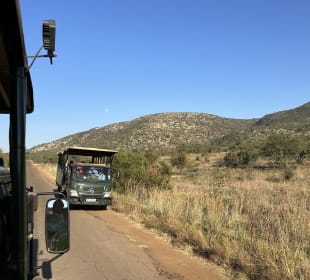 Pilanesberg Nationalpark
