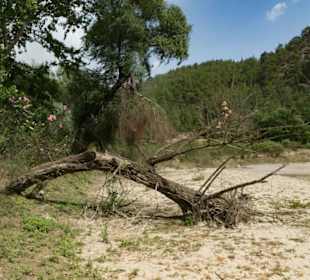 Flussbett im Taurusgebirge