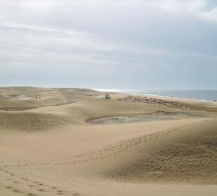 Dünen von Maspalomas