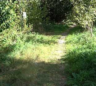 Baumlehrpfad Zollertal