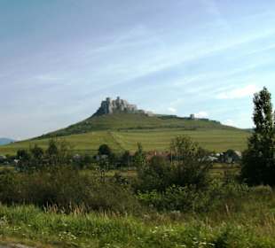 Blick vom Fuße des Burgbergs