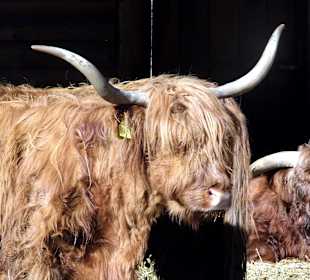 ImpressionOstern2013