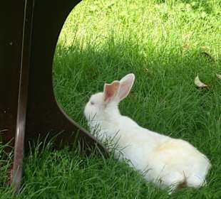Isparta Gökçay Park