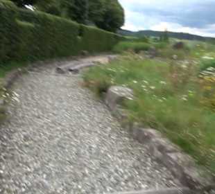 ALB-GOLD Naturgarten