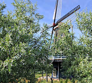 De Groenvelder in Schagen