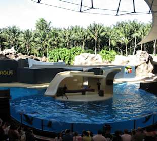 Loro Parque