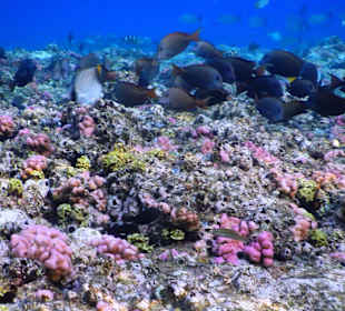 Открытое море, за лагуной.