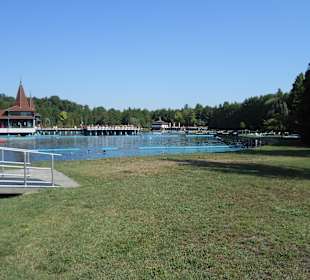 Hevizer See