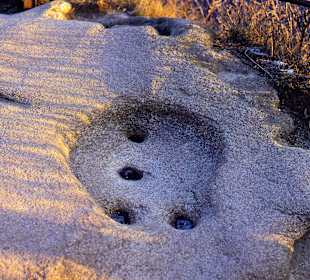 Hufmal Rosstrappe