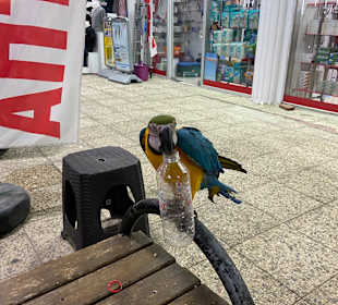 Einkaufen & Shopping