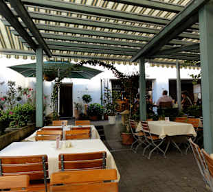 Blick in den Gartenbereich