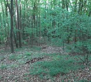 Premiumwanderweg "hochgelegen"
