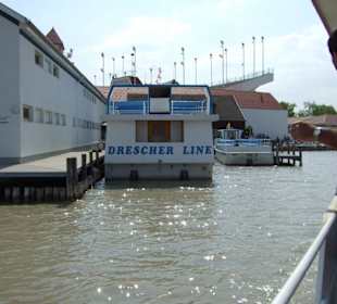 Einlaufen in Mörbisch