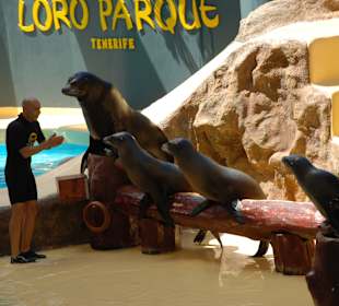 Loro Parque