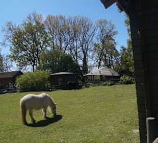 Zoo Arche Noah Grömitz