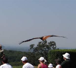 Flug über die Köpfe der Zuschauer