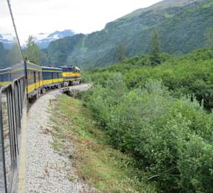 Mit der Train in der Natur Alaskas