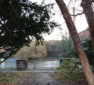 Partie an der Ilmenau