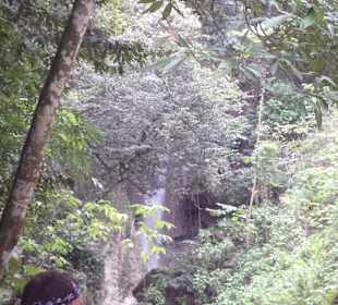 Dschungel - Trekking