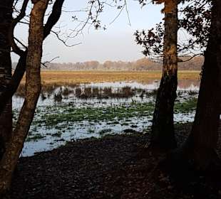 Feuchtgebiet Hervester Bruch