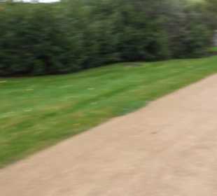 Garten Großbritanien