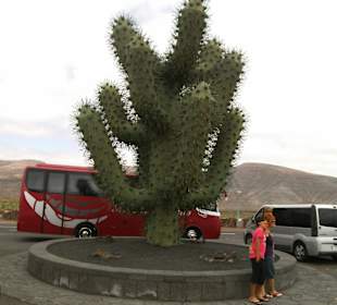 Eingang Kaktusgarten