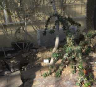 Gewächshäuser Botanischer Garten