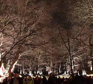 Fredenbaumpark Mittelalterlicher Weihnachtsmarkt
