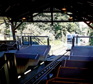 Fahrt mit der Schlossbahn