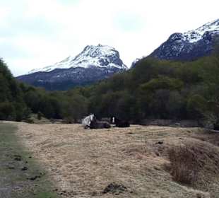 Nationalpark Tierra del Fuego