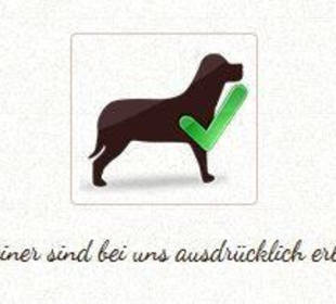Hunde erlaubt