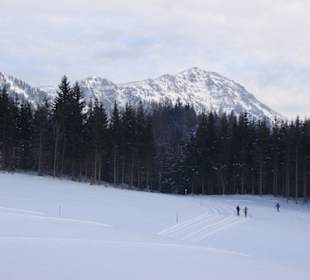 Blick auf den Dürrenstein
