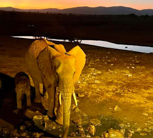 Geführte Touren Marco Polo Tours & Safaris Diani Beach