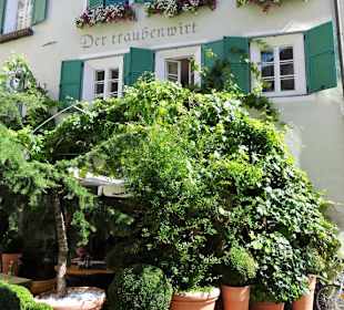 Außenansicht des Restaurant Traubenwirt
