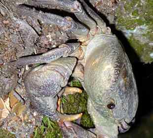 Tal der Schmetterlinge