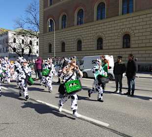St. Patrick's Day Feier - Umzug
