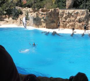 Loro Parque 
