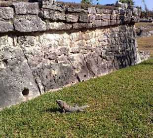 Festung Tulum