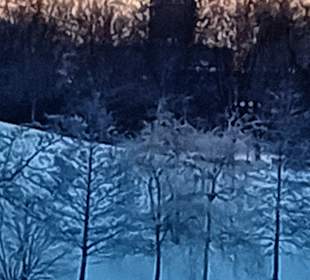 Der Figurenpark im Schnee