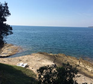 Meer