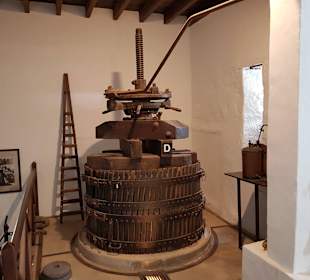 Weinmuseum und Kakteen-Ausstellung El Grifo