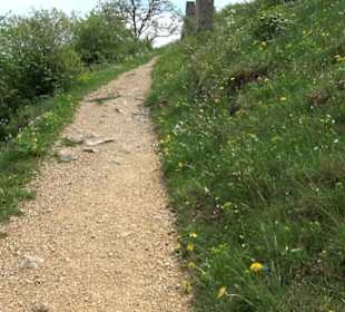 Kreuzweg St. Anna Salmendingen