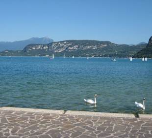 Gardasee