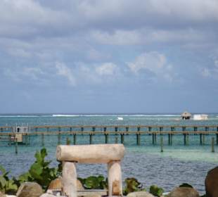 Der Ausblick über den Park