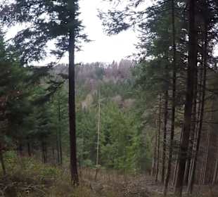 Wanderstrecke Panoramaweg D1