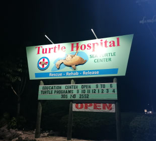 Turtle Hospital