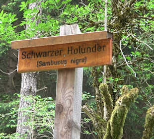 Waldlehrpfad in Tieringen