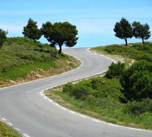 Auf der Route des Crêtes